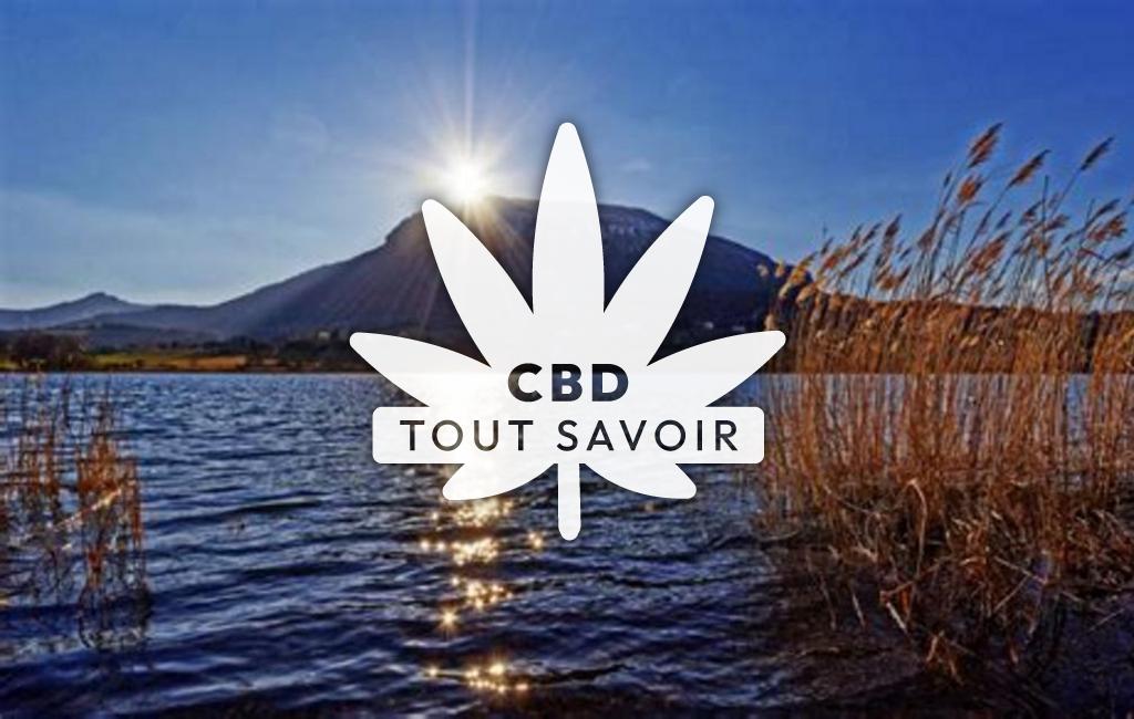 Village à Pelleautier avec feuille Cannabis CBD