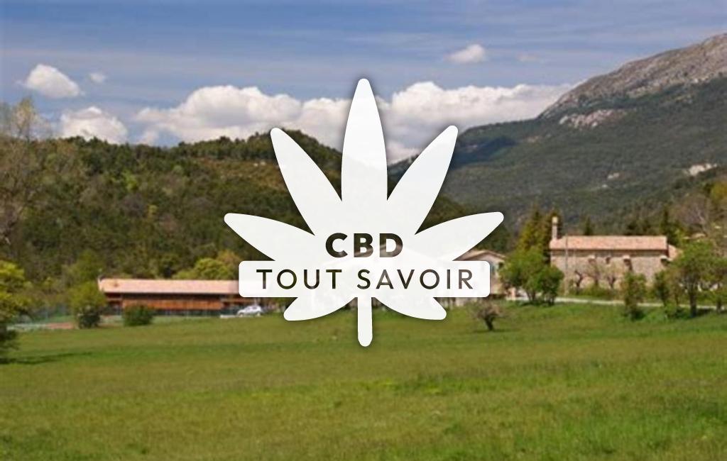 Village à Peyroules avec feuille Cannabis CBD