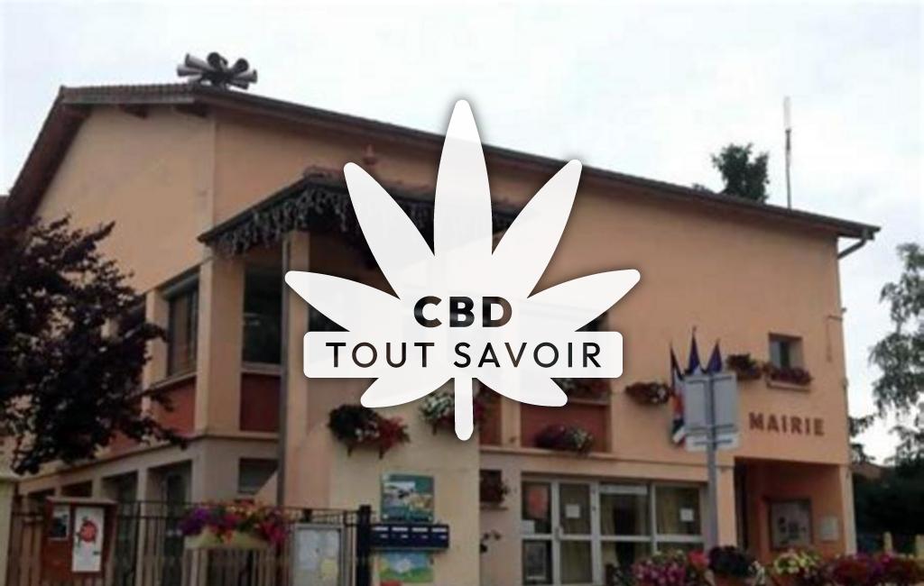 Village à Pizay avec feuille Cannabis CBD