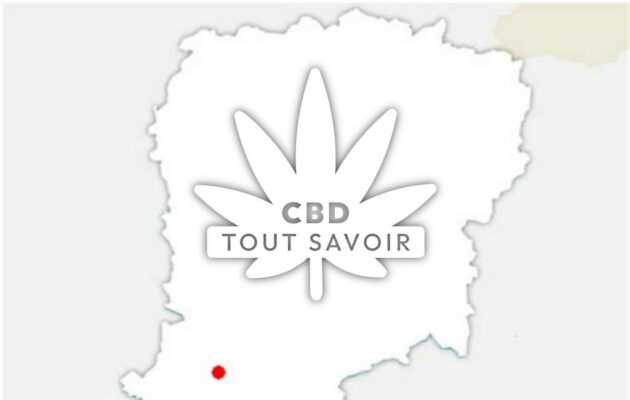 Village à Ploisy avec feuille Cannabis CBD