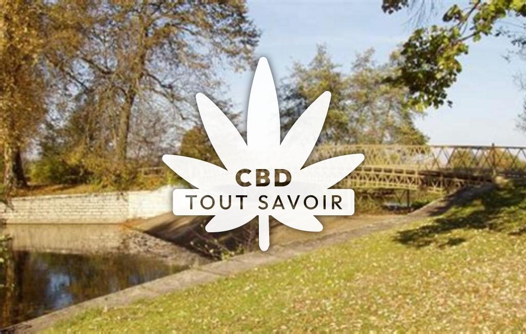 Village à Pont-de-Veyle avec feuille Cannabis CBD