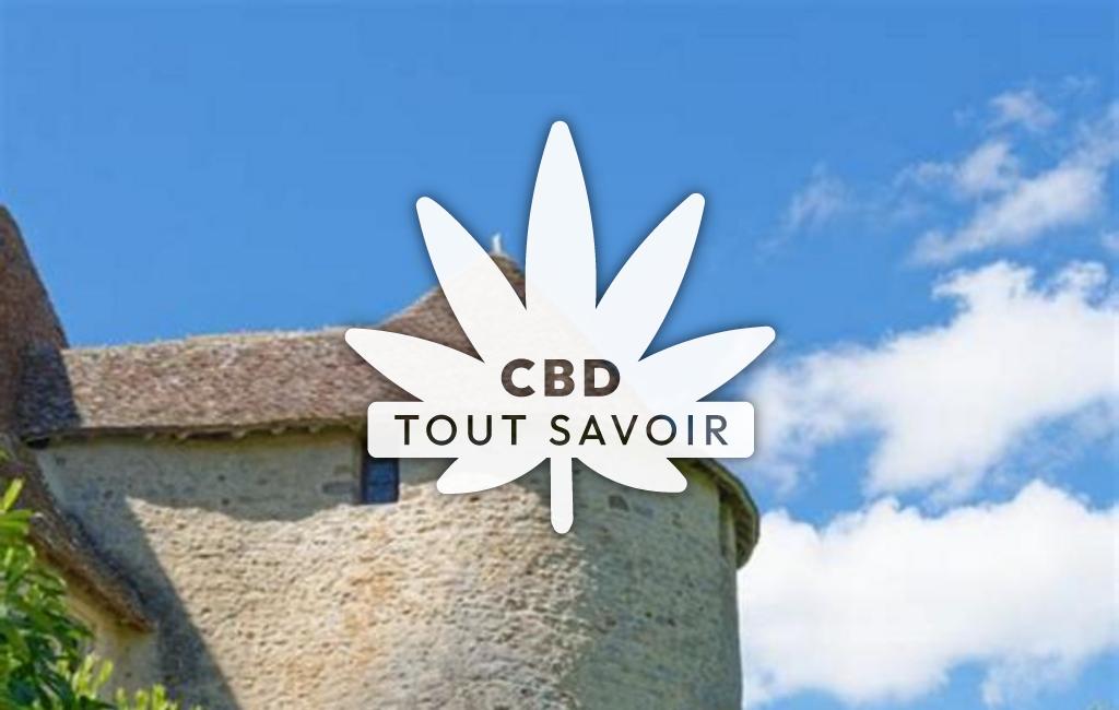 Village à Pouzy-Mesangy avec feuille Cannabis CBD