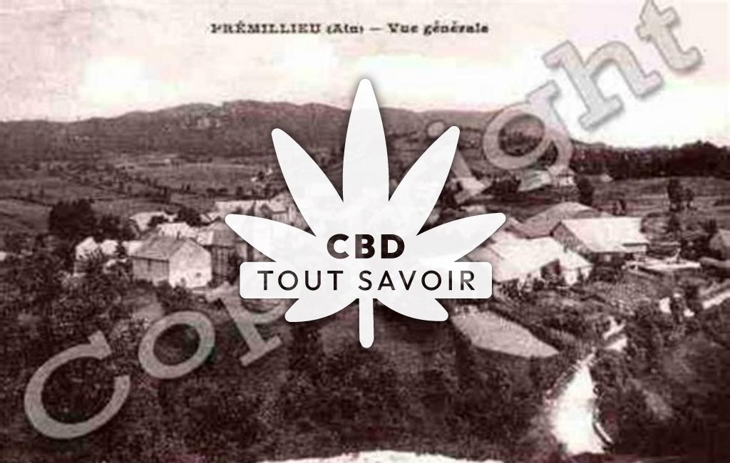 Village à Premillieu avec feuille Cannabis CBD