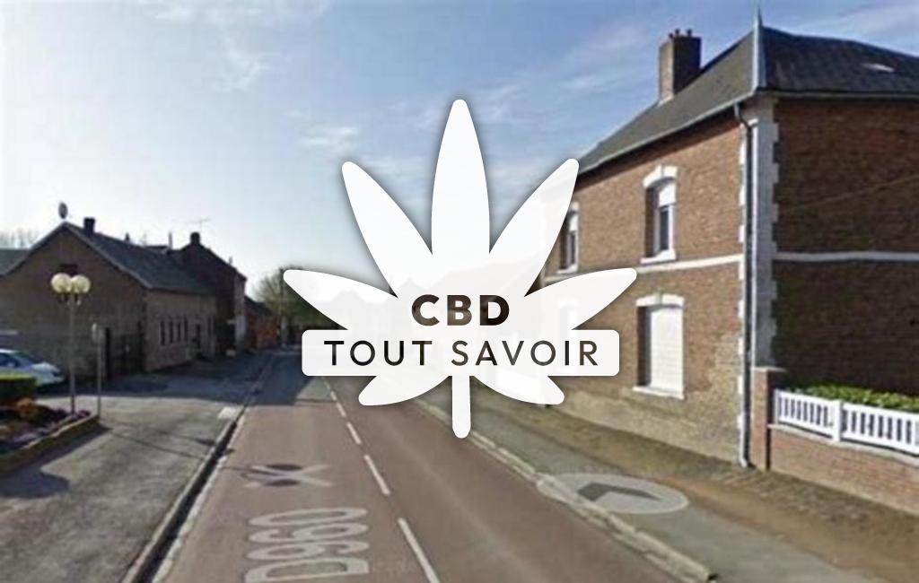 Village à Premont avec feuille Cannabis CBD