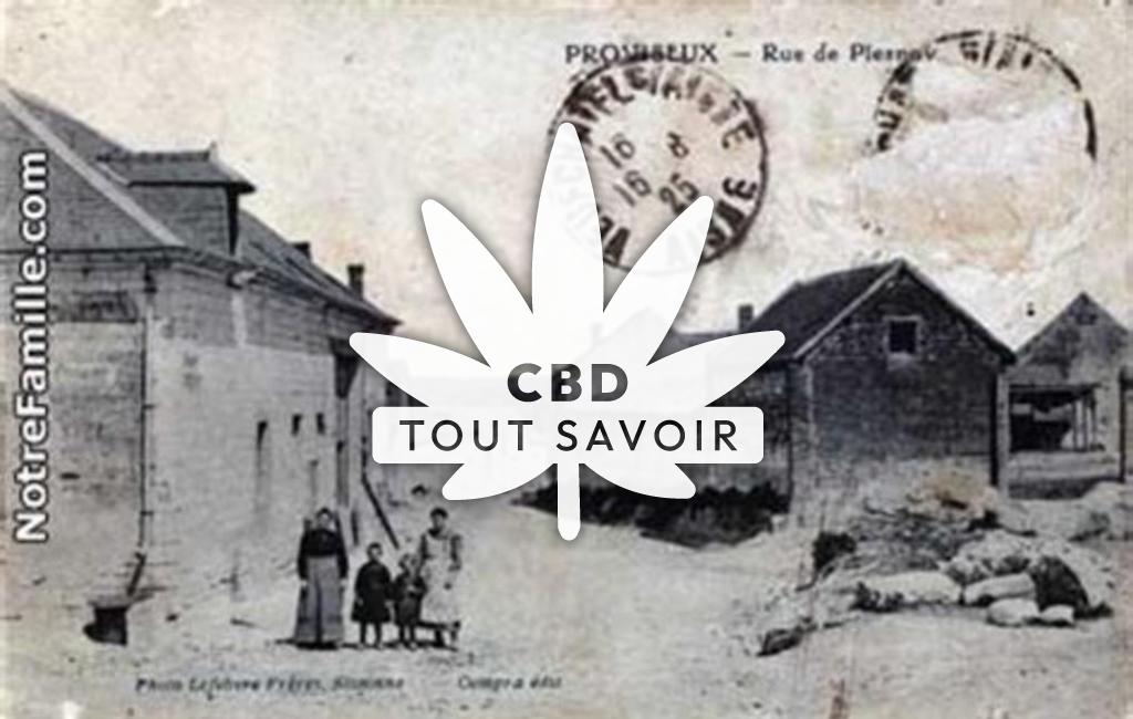 Village à Proviseux-Et-Plesnoy avec feuille Cannabis CBD