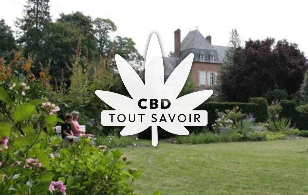 Village à Puisieux-Et-Clanlieu avec feuille Cannabis CBD