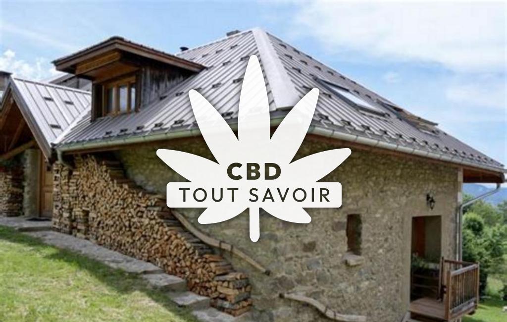 Village à Puy-Saint-Eusebe avec feuille Cannabis CBD