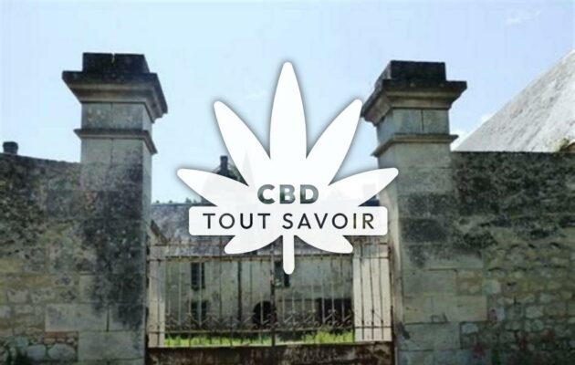 Village à Quincy-sous-le-Mont avec feuille Cannabis CBD