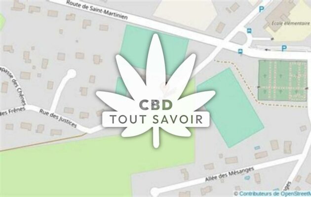 Village à Quinssaines avec feuille Cannabis CBD