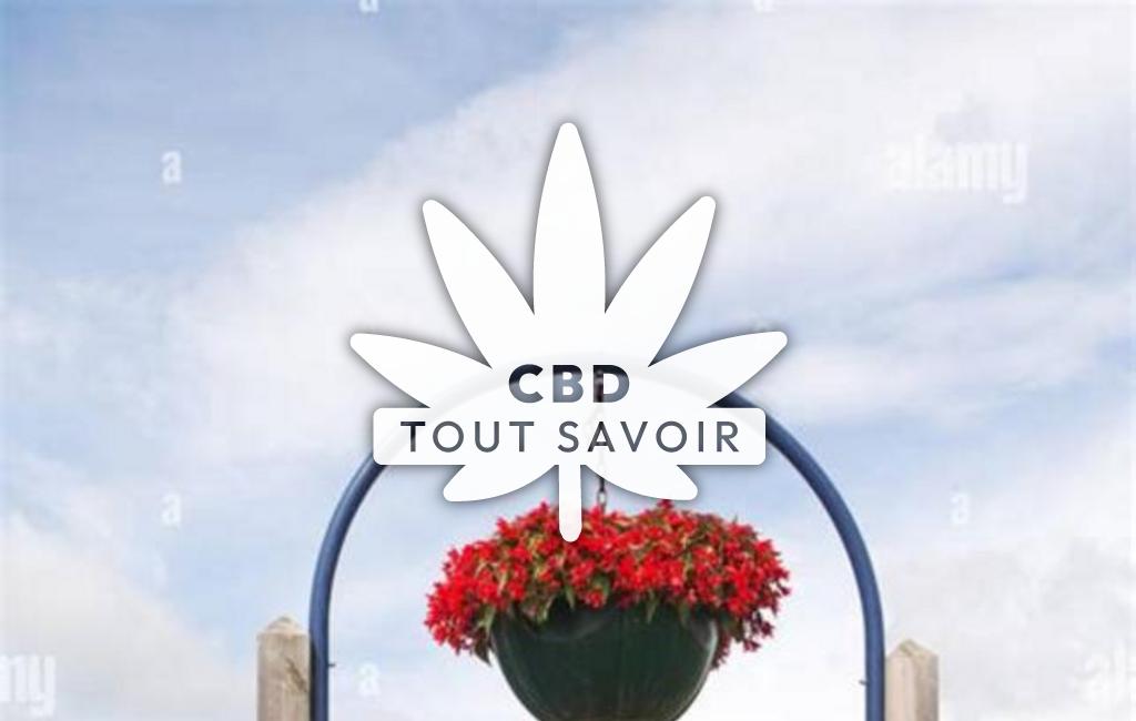 Village à Ressons-le-Long avec feuille Cannabis CBD