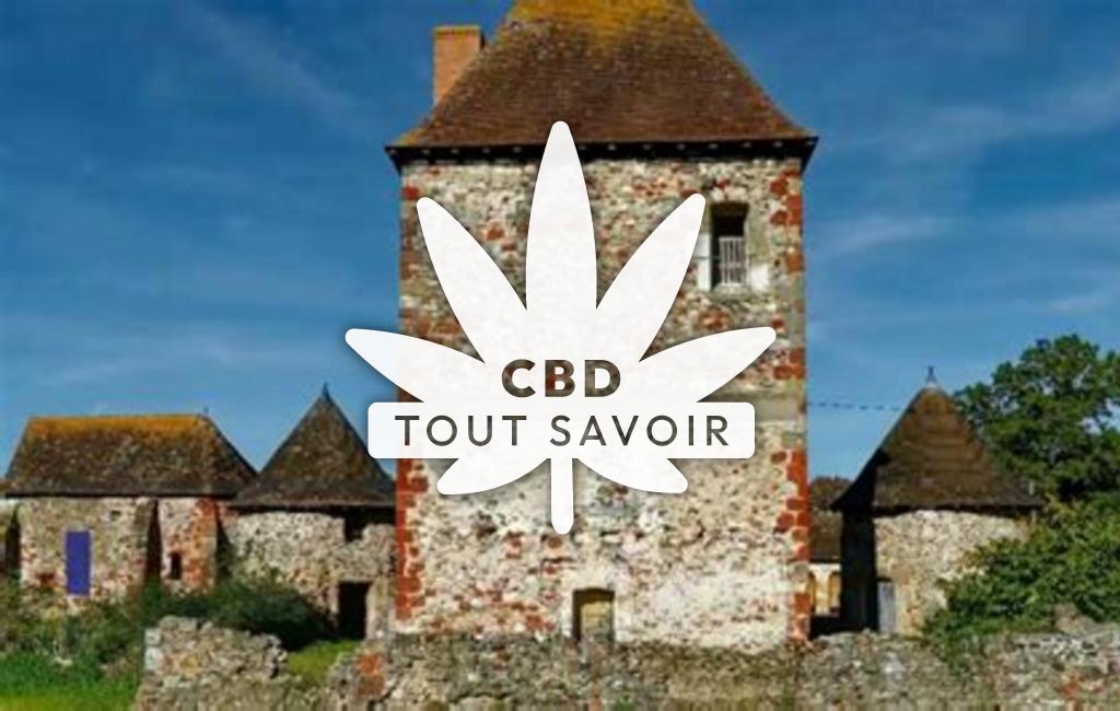 Village à Reugny avec feuille Cannabis CBD