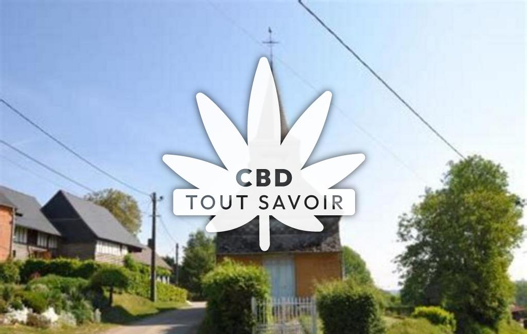 Village à Rouvroy-sur-Serre avec feuille Cannabis CBD