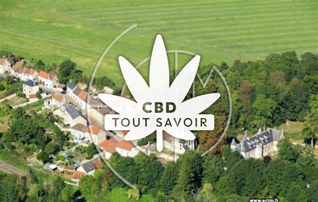 Village à Rozet-Saint-Albin avec feuille Cannabis CBD