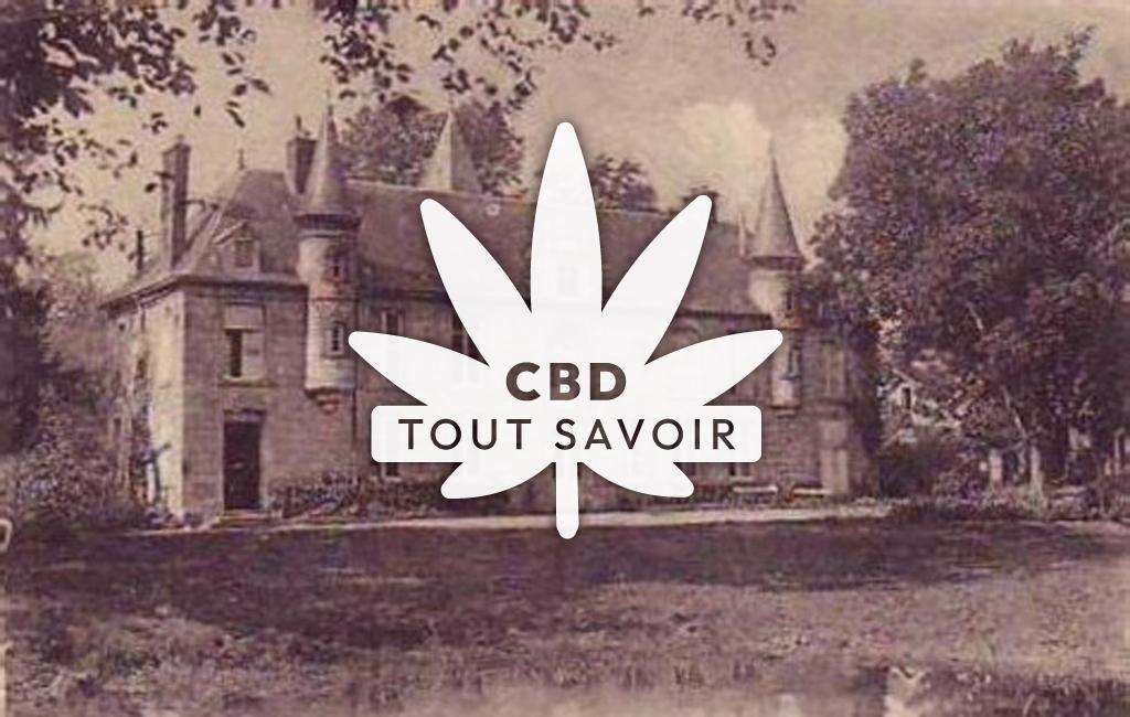 Village à Rozoy-Bellevalle avec feuille Cannabis CBD