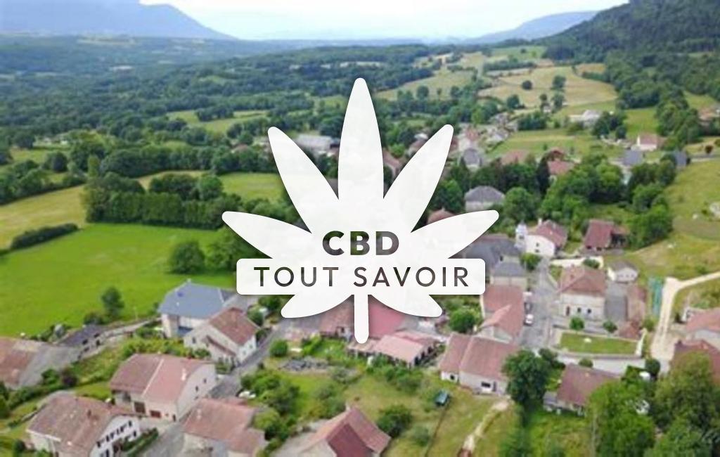 Village à Ruffieu avec feuille Cannabis CBD