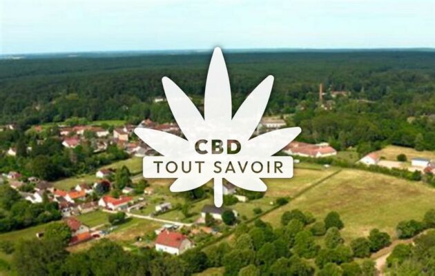 Village à Saint-Bonnet-Troncais avec feuille Cannabis CBD