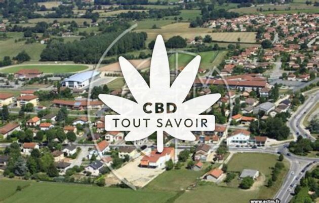 Village à Saint-Denis-les-Bourg avec feuille Cannabis CBD