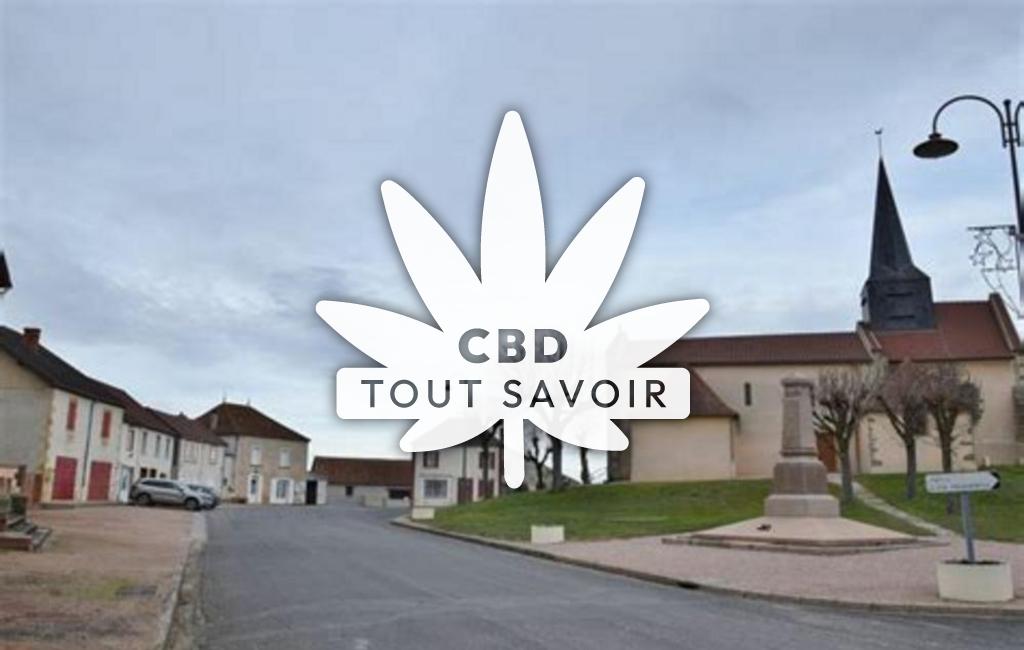 Village à Saint-Didier-en-Donjon avec feuille Cannabis CBD