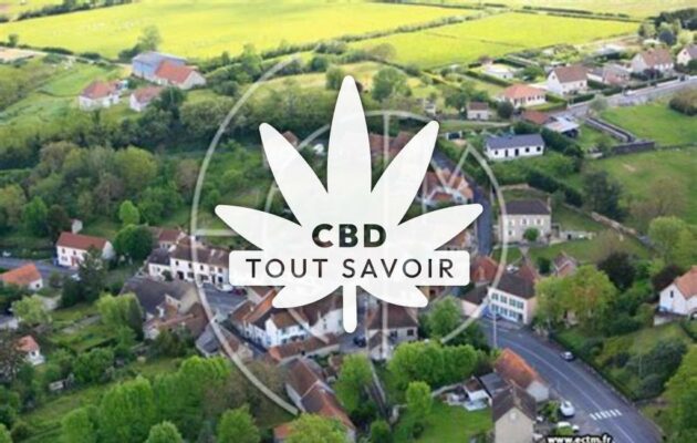 Village à Saint-Didier-la-Foret avec feuille Cannabis CBD