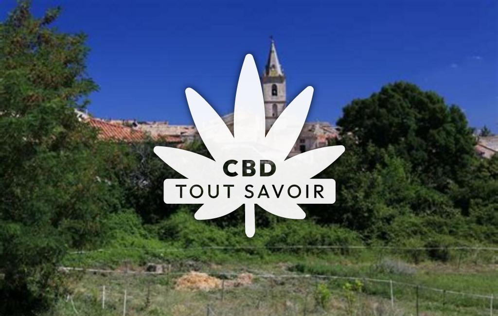 Village à Saint-Etienne-les-Orgues avec feuille Cannabis CBD