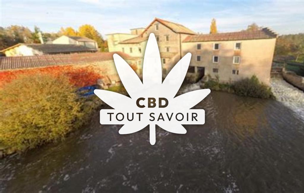 Village à Saint-Jean-sur-Veyle avec feuille Cannabis CBD