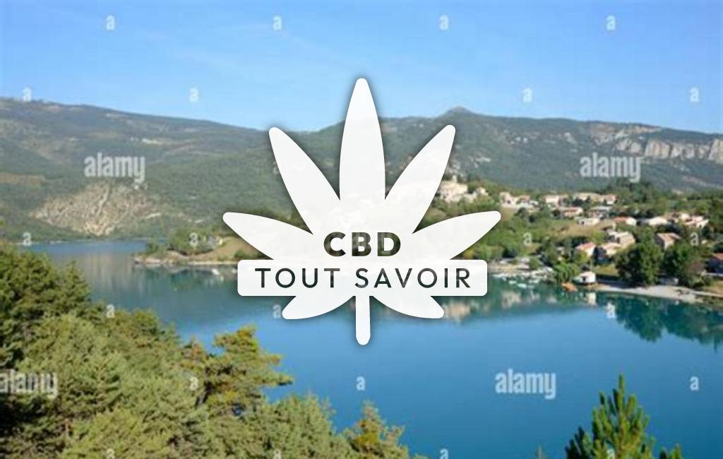 Village à Saint-Julien-du-Verdon avec feuille Cannabis CBD