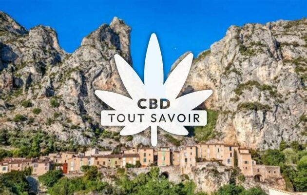 Village à Saint-Laurent-du-Verdon avec feuille Cannabis CBD