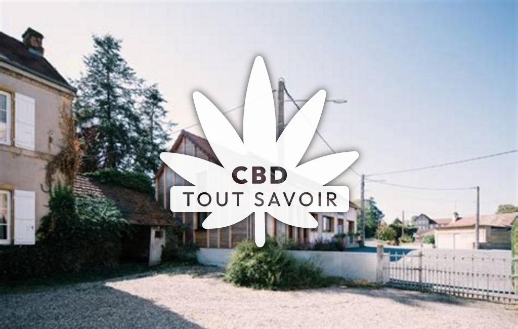 Village à Saint-Leger-sur-Vouzance avec feuille Cannabis CBD