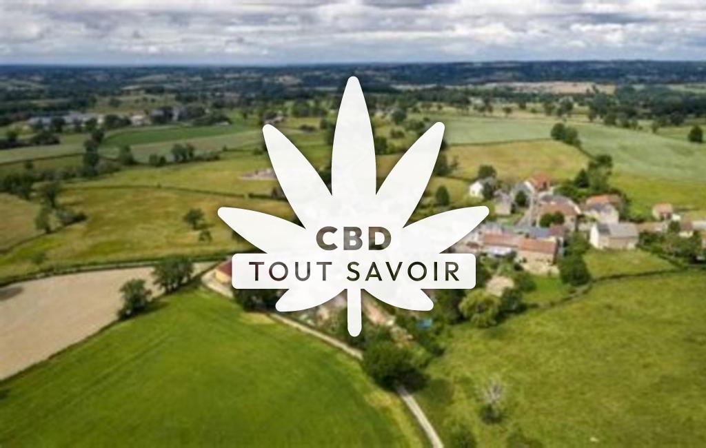 Village à Saint-Marcel-en-Marcillat avec feuille Cannabis CBD