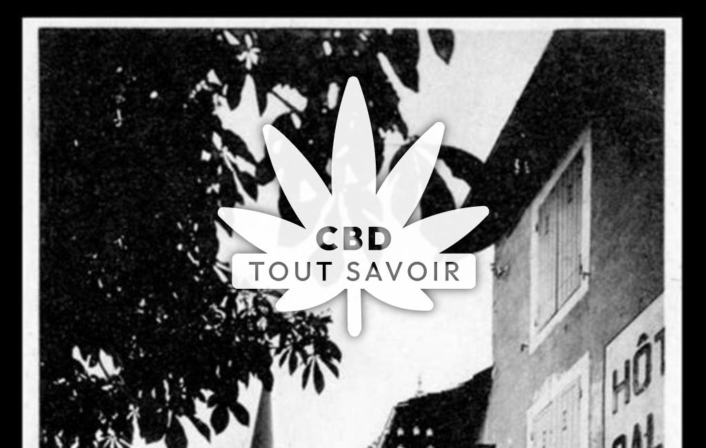 Village à Saint-Martin-du-Mont avec feuille Cannabis CBD