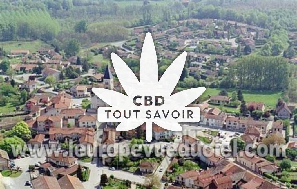 Village à Saint-Paul-de-Varax avec feuille Cannabis CBD