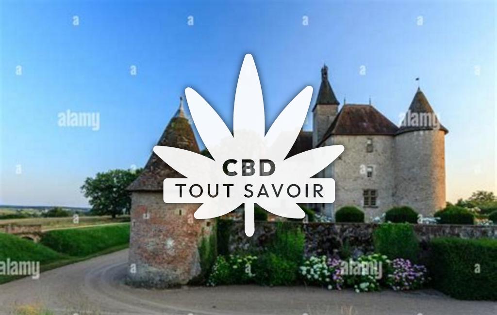 Village à Saint-Pourcain-sur-Besbre avec feuille Cannabis CBD