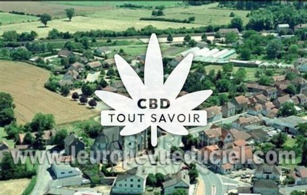 Village à Saint-Remy-en-Rollat avec feuille Cannabis CBD