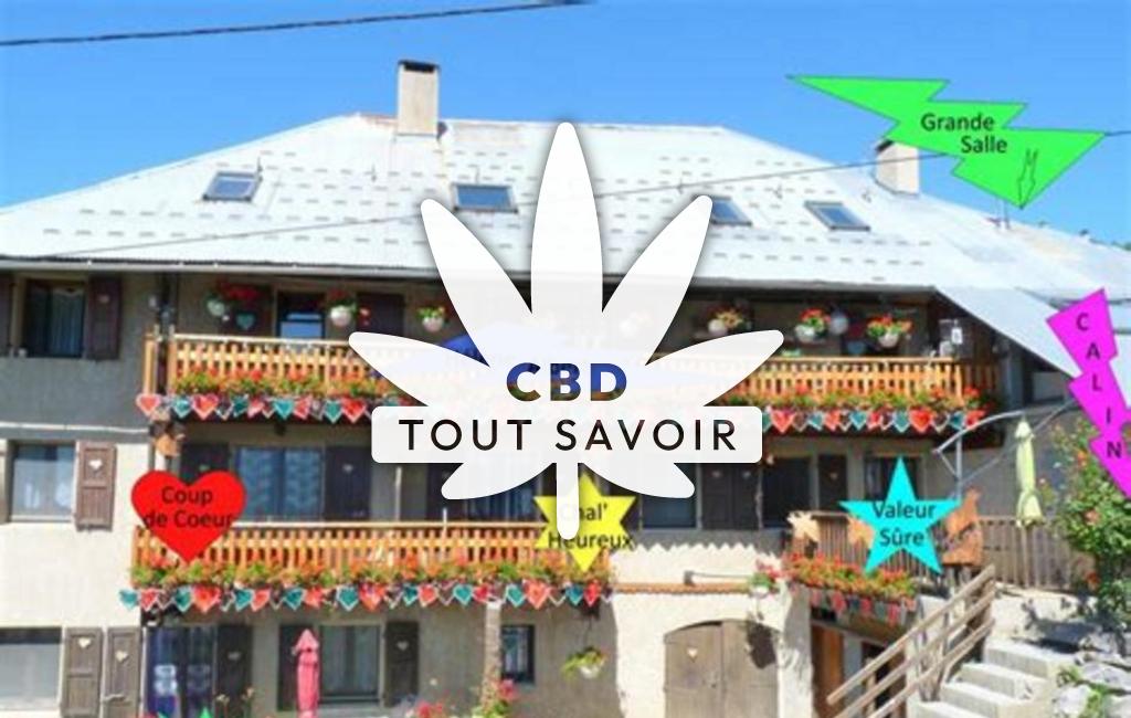 Village à Saint-Sauveur avec feuille Cannabis CBD