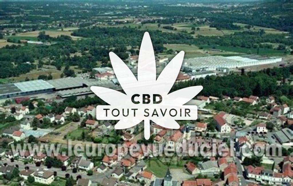 Village à Saint-Voir avec feuille Cannabis CBD