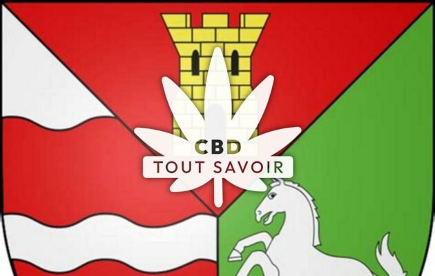 Village à Saligny-sur-Roudon avec feuille Cannabis CBD