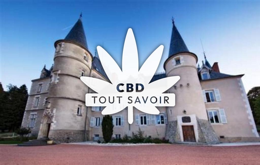 Village à Sanssat avec feuille Cannabis CBD