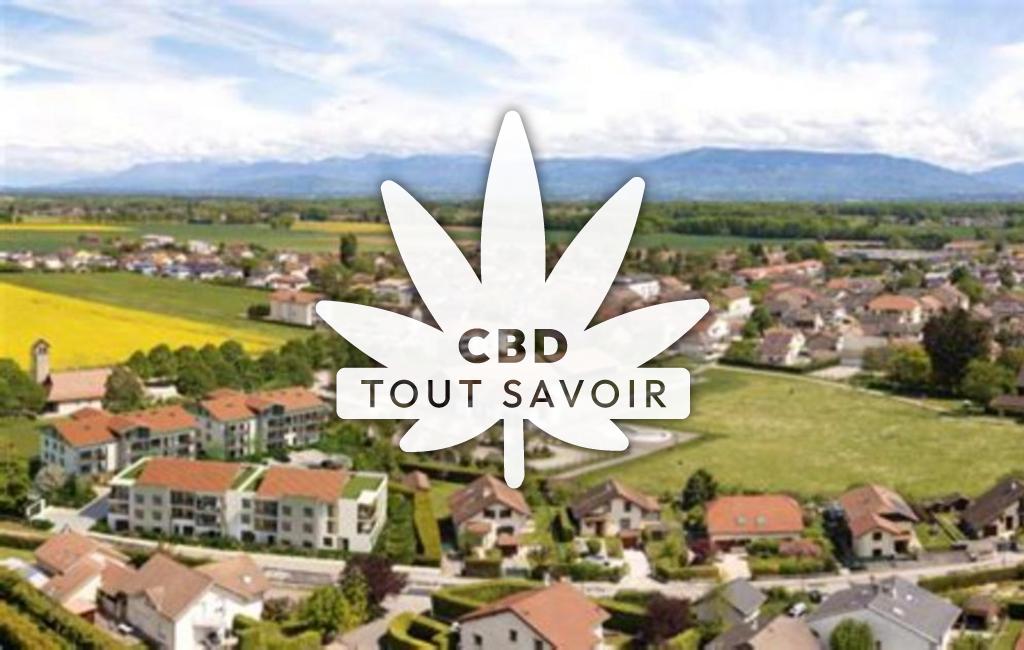 Village à Segny avec feuille Cannabis CBD