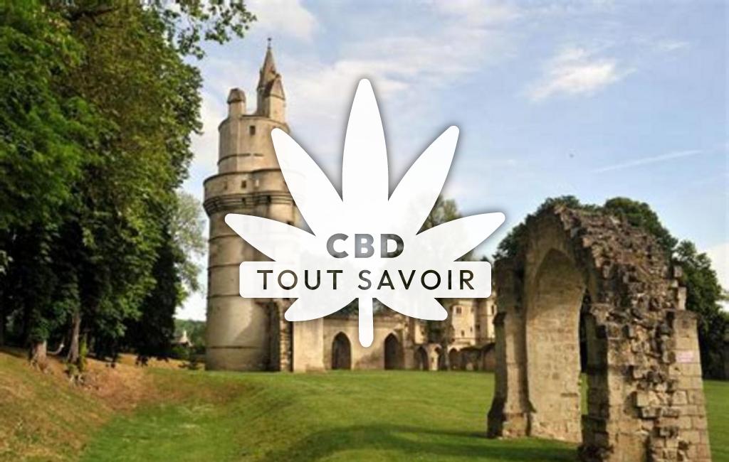 Village à Septmonts avec feuille Cannabis CBD