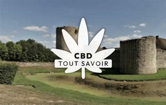 Village à Seringes-Et-Nesles avec feuille Cannabis CBD