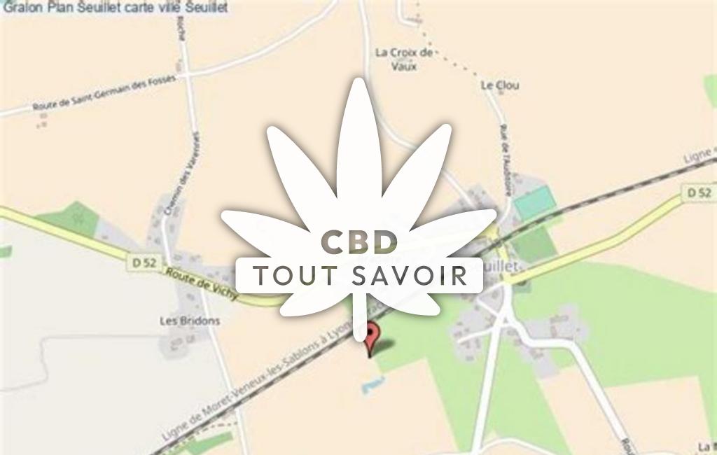 Village à Seuillet avec feuille Cannabis CBD