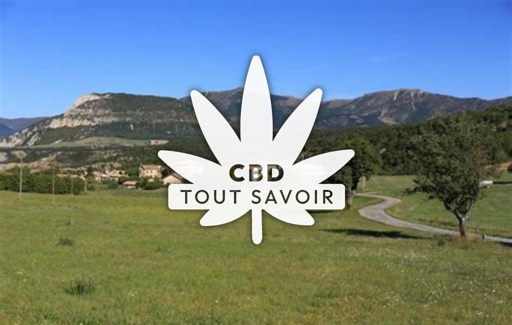 Village à Sorbiers avec feuille Cannabis CBD