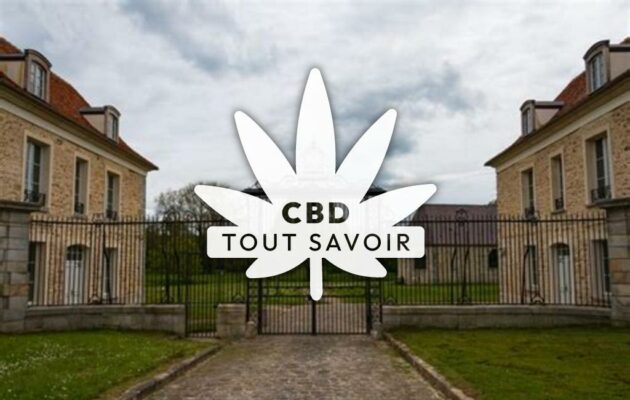 Village à Soucy avec feuille Cannabis CBD