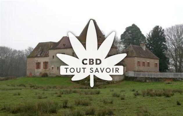 Village à Thiel-sur-Acolin avec feuille Cannabis CBD