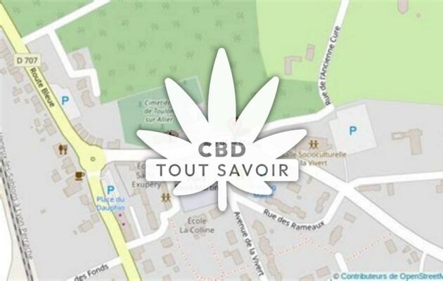 Village à Toulon-sur-Allier avec feuille Cannabis CBD