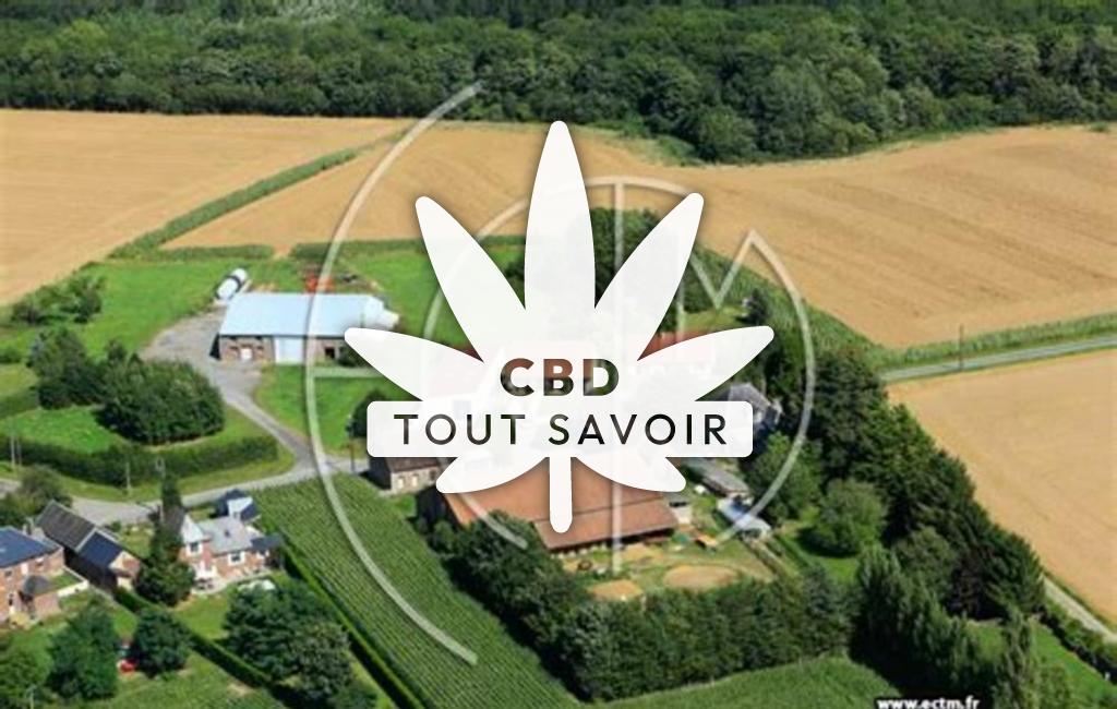 Village à Trefcon avec feuille Cannabis CBD