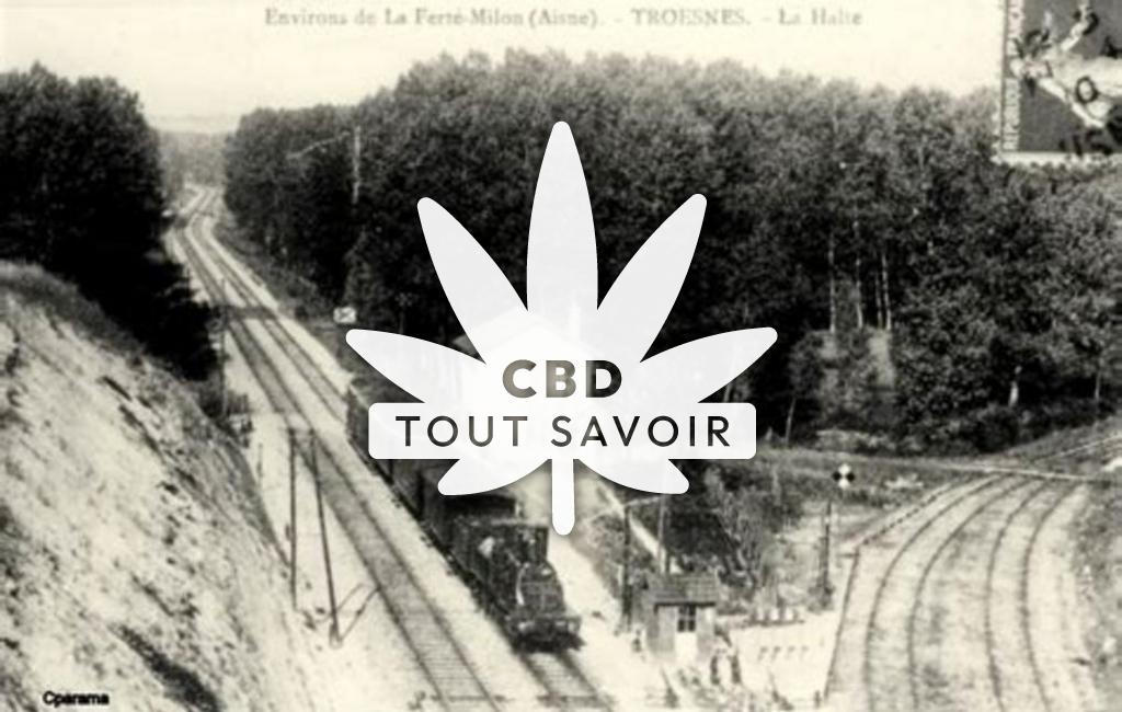 Village à Troesnes avec feuille Cannabis CBD