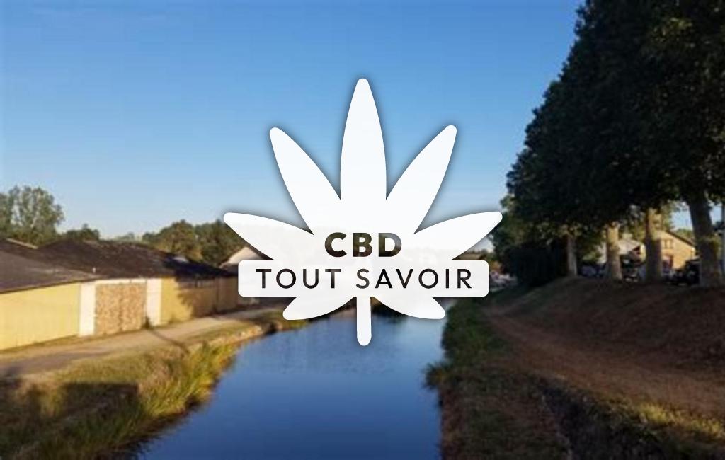 Village à Vallon-en-Sully avec feuille Cannabis CBD