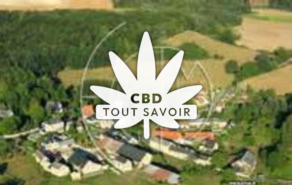 Village à Vassens avec feuille Cannabis CBD