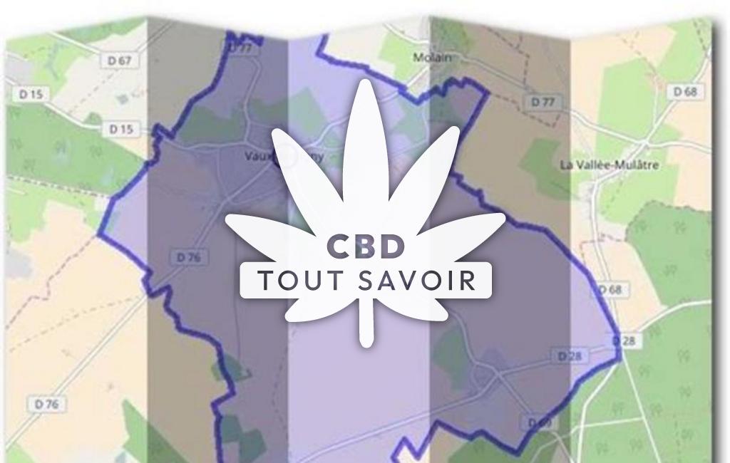 Village à Vaux-Andigny avec feuille Cannabis CBD